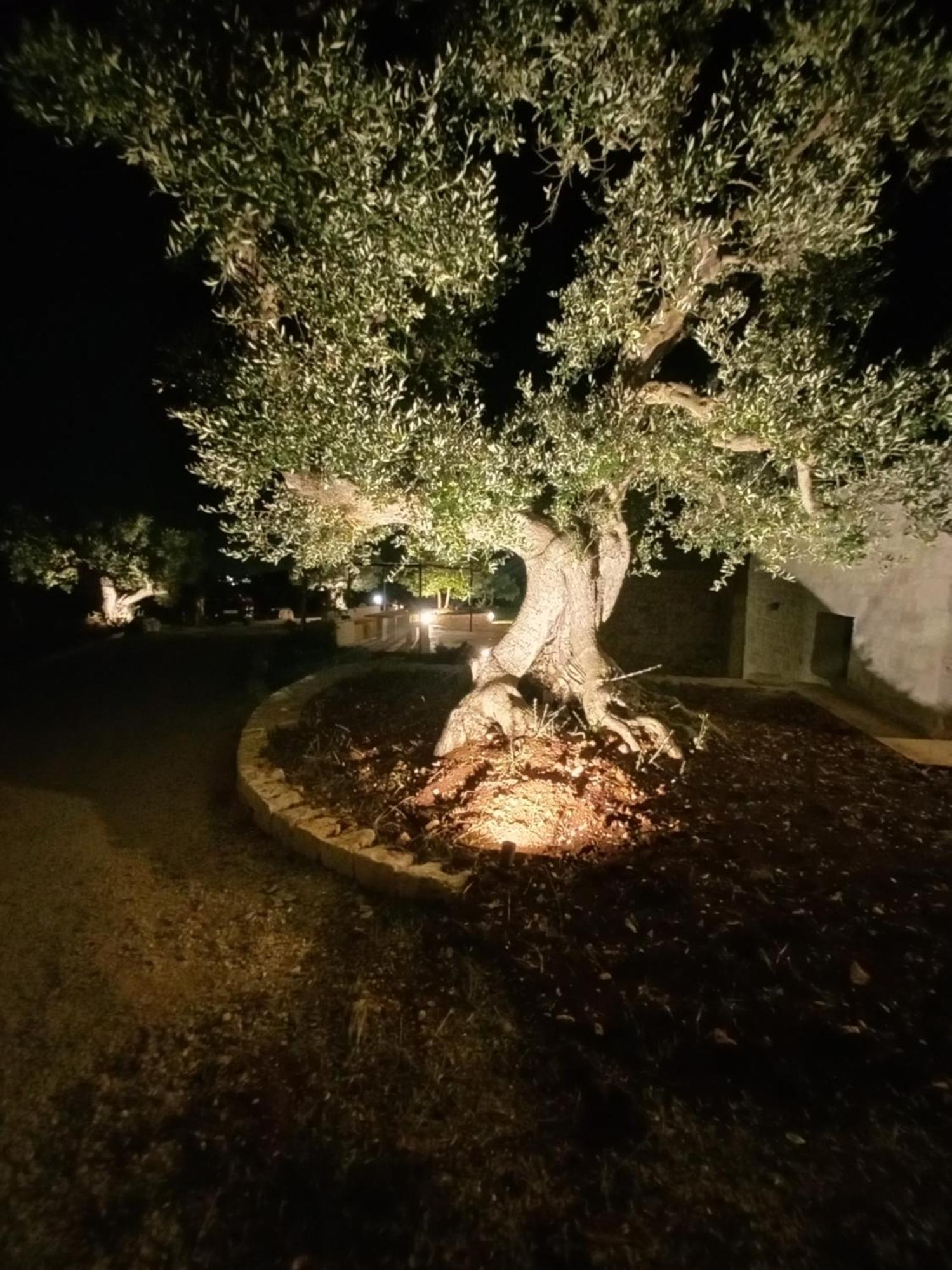 Il Nido Delle Rondini Villa Cisternino Exterior photo